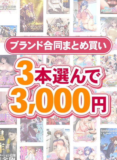 【まとめ買い】1，700作品以上から3本選んで3，000円！冬のブランド合同まとめ買い