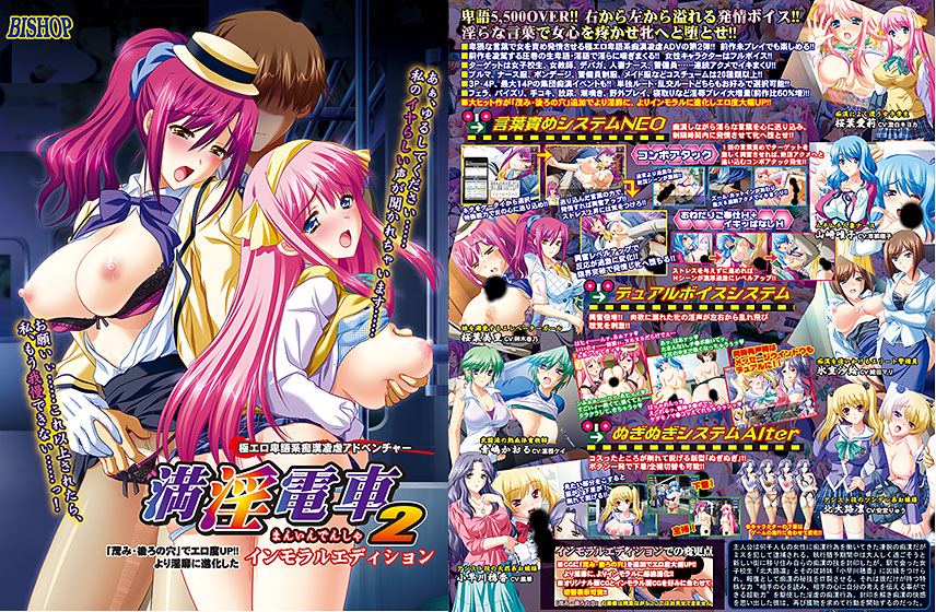 満淫電車2 インモラルエディション DL版