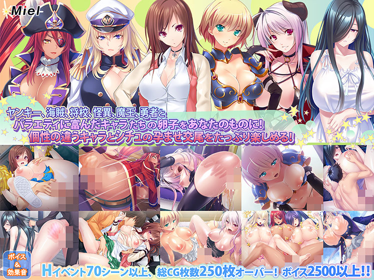 【期間限定】【新春福袋】色んなキャラに種付けしたい！お得な孕ませ詰め合わせ福袋！