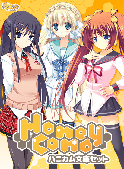 ハニカム文庫セット
